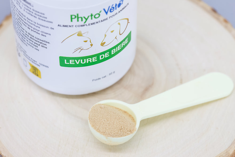 LEVURE DE BIÈRE 50g - 0