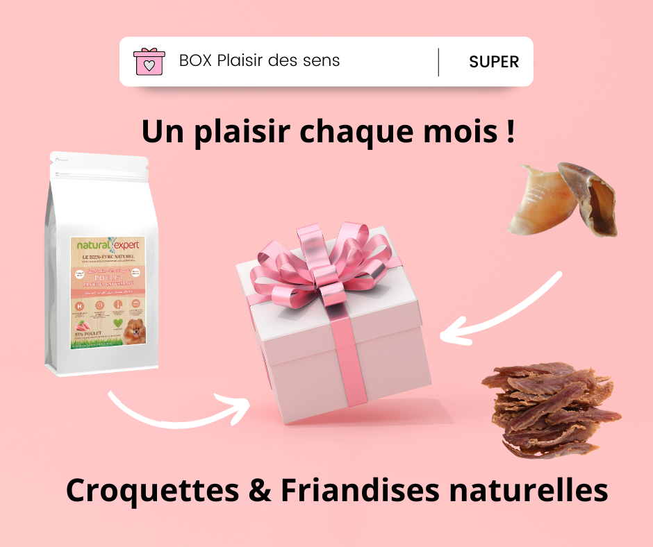 BOX Croquettes poulet & friandises - chien petite race