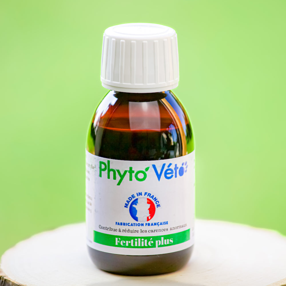 fertilité chien chat Phyto veto