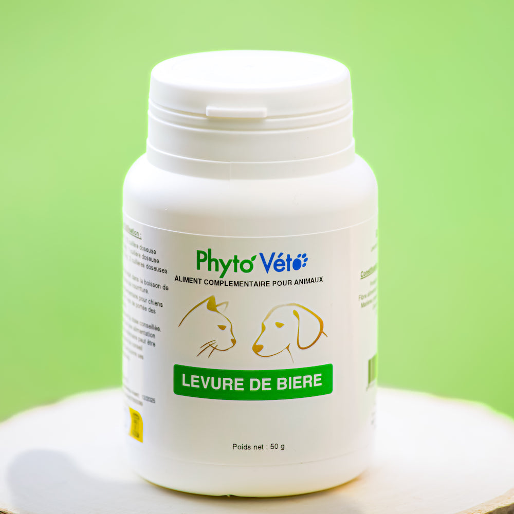 LEVURE DE BIÈRE 50g