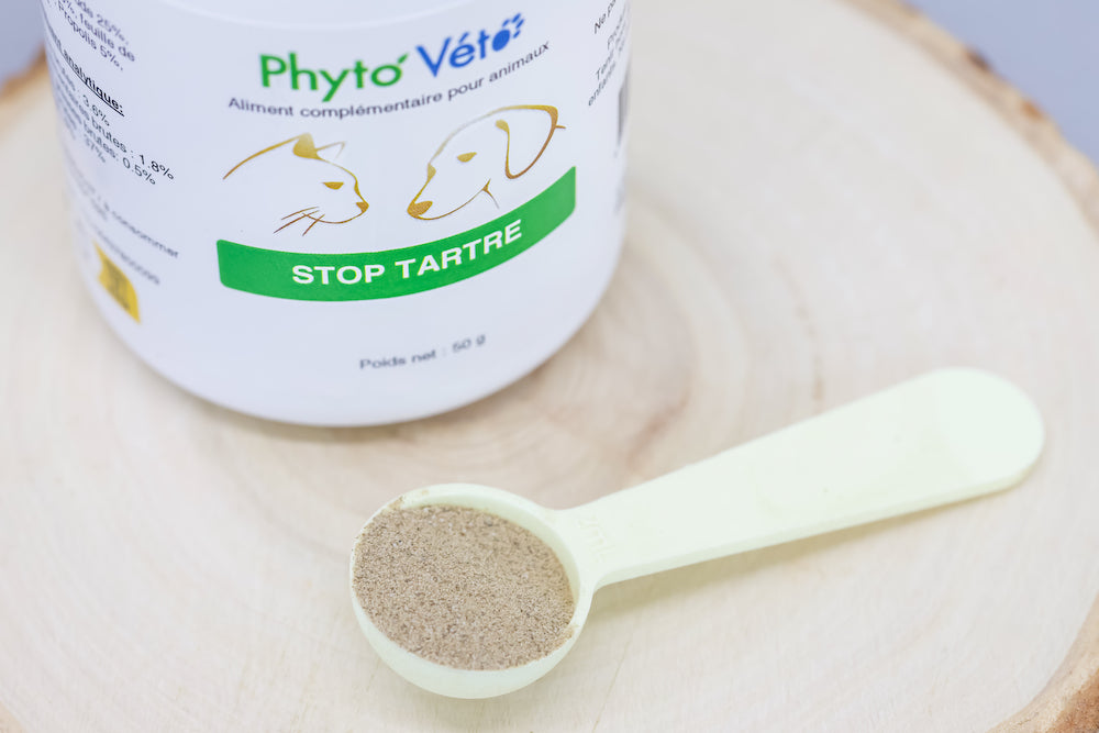 stop tartre Phyto veto