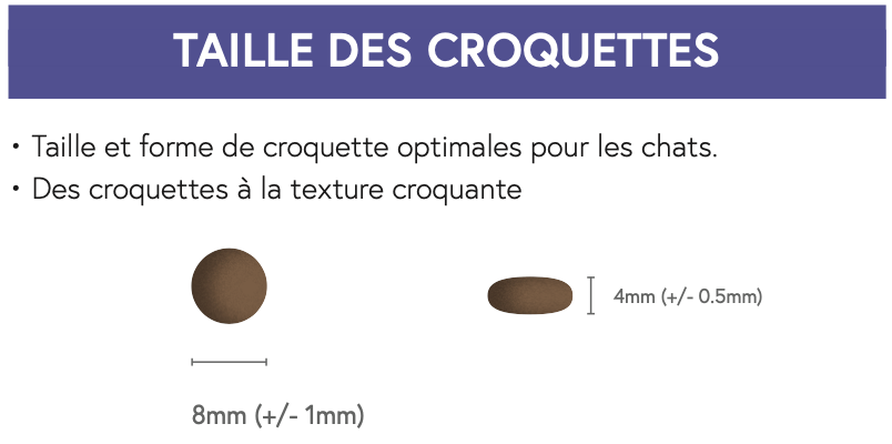 CROQUETTES SUPER PREMIUM Chatons 2 kg