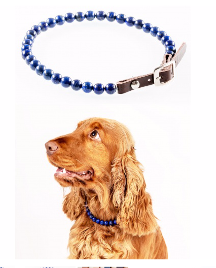 COLLIER CHIEN LAPIS LAZULI : PROBLEME PEAU, DEMANGEAISONS, SOLITUDE : LITHOTHERAPIE